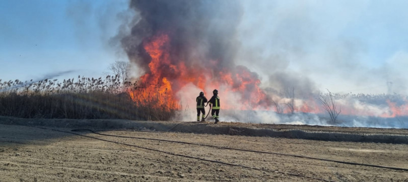 Grosso incendio tra Villanova e Motta de’ Conti: brucia un canneto